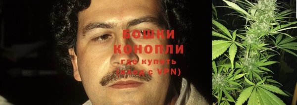 сатива Михайловск
