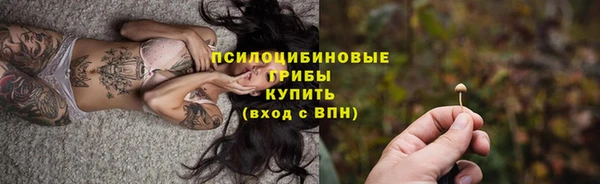скорость Тайга
