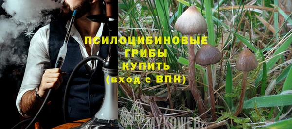 сатива Михайловск