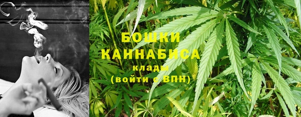 сатива Михайловск