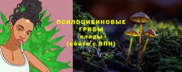 мескалин Михайлов